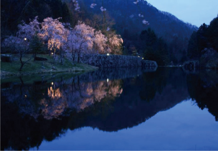 桜夜風