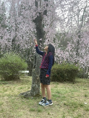 桜とともに