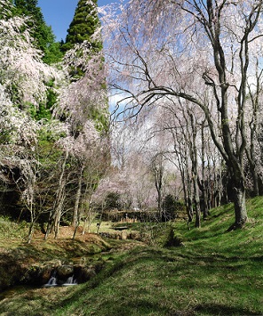 ふるさとの風景